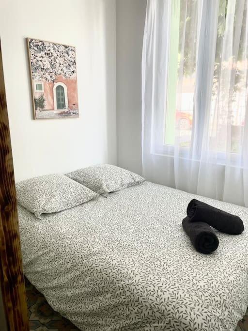 Le Briguiboul Apartment Castres  Ngoại thất bức ảnh